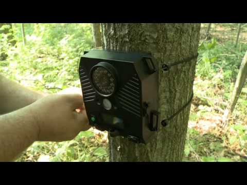 Browning VS Stealth Cam VS Wildgame Innovations VS Covert: Cellular Camera Direct Comparison WINNER