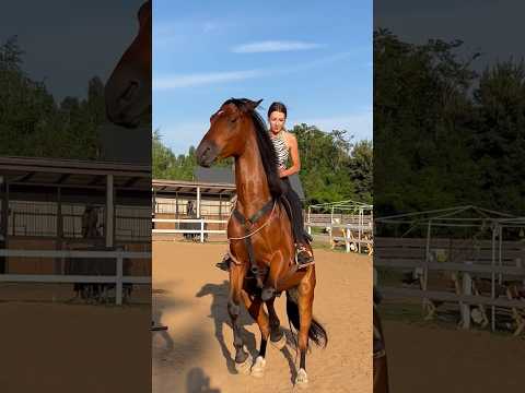 I STILL CAN'T BELIEVE I DID IT 🫣🐴 #shorts