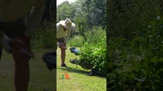 Happy Memorial Day, and thank you to all that paid the ultimate price for our FREEDOM. #shorts