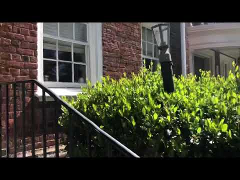 2830 Monument Avenue - Video 2 of 2