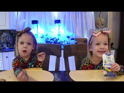 Twins try Once Upon a Farm