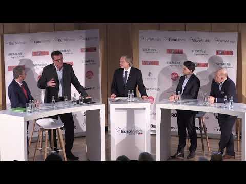 EuroMinds 01.02.2020, 2. Panel "Mobilitätskonzepte für Großstädte"