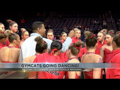 Arizona Gymcats earn NCAA Regional bid for 5th straight season