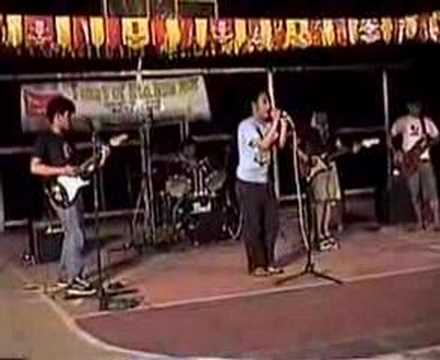 Zymotic - First of Summer