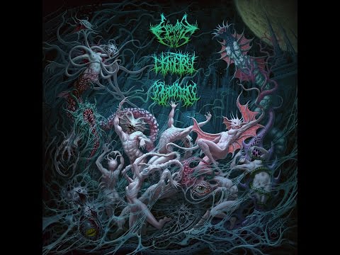 Eviscerated Entrails / Dismetry / Derogation full split