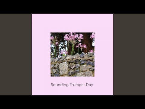 Don't Get Around Much Anymore video