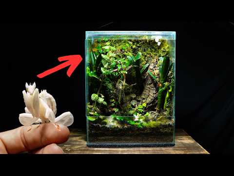 300 Days Ago I Made An Ecosystem For a Praying Mantis, This Happened!