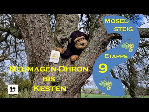 #Moselsteig, Etappe 9: Von Neumagen-Dhron nach Kesten