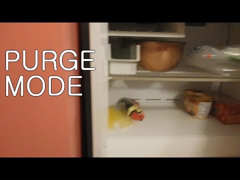 Purge Mode | Day 388 (22/01/17)