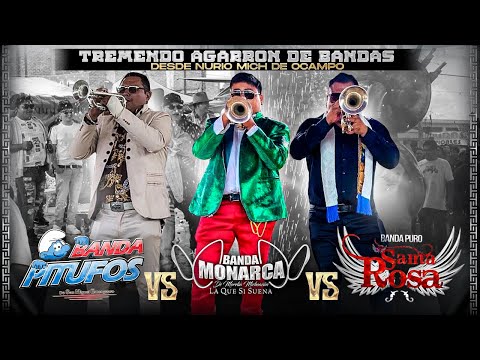 Banda Puro Santa Rosa, Banda Monarca de Morelia y Banda Pitufos. AGARRÓN DE BANDAS, NURIO 2025.
