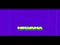 THE EPICNESS OF NELVANA LIMITED LOGO 2004