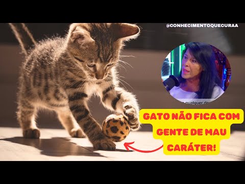 Gato não fica onde a energia é ruim – Cristina Cairo explica o motivo!