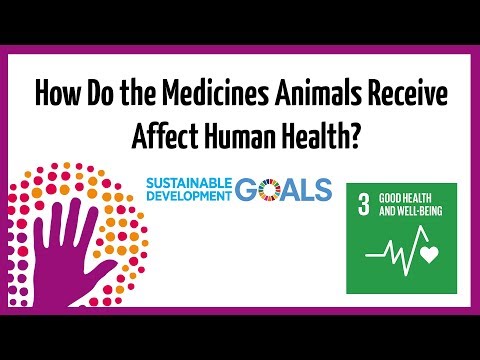How Do The Medicines Animals Receive Affect Human Health?