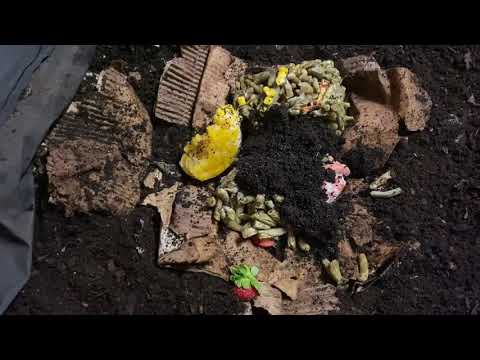 Vermibag Mammoth, the path to efficiency.