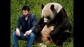 dc Talk &quot;What If I Stumble&quot; (dc Talk - Jesus Freak Cruise Parody)