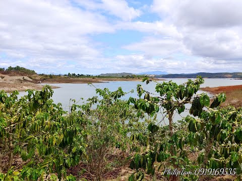 Bán 24.000m2 đất Farm & nghỉ dưỡng view hồ Đại Ninh,xã Tà Hine,Đức Trọng,21 tỷ