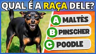 🐶🐕 QUAL É A RAÇA DO CACHORRO? | Você conhece tudo sobre cachorros?🐩 #buuquiz #quiz