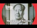 Unveiling the Tragedy of China's Great Leap Forward Famine