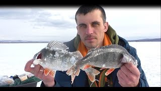 Ссылка