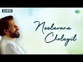 Neelavana Cholayil Audio Song Premabhishekam K J Yesudas Hits Kamal Haasan Sridevi