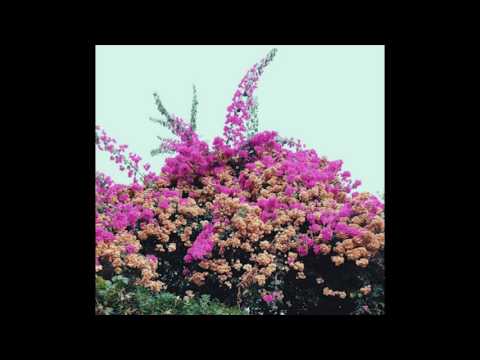 Unlimited Touch video