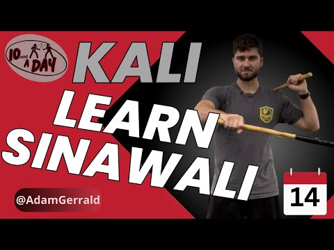 Introduction to Martial Arts (Day 14 of 30) Kali - Sinawali