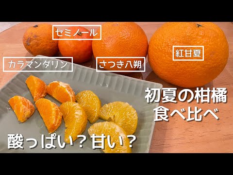 Tasting and comparing four early summer citrus fruits [Beni Amanatsu, Satsuki Hassaku, Seminole, ...