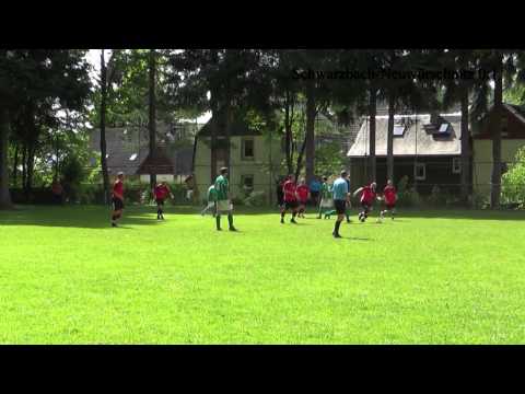 SV Grün-Weiss Schwarzbach - SV Rot-Weiss Neuwürschnitz