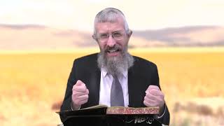 מסכת חולין דף כא - 8 דקות של לומדות ועמקות בדרך הלימוד הישיבתית [Hullin 21]