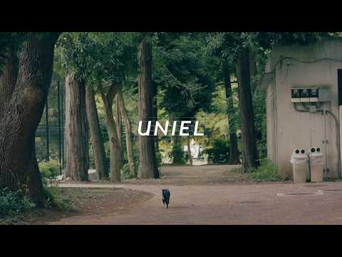 UNIEL ltd. 2019 SHOW REEL