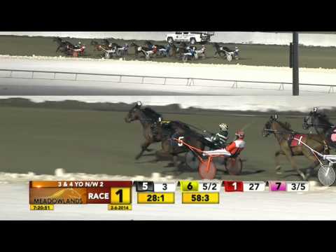 February 6, 2014 - Race 1 - You Rock My World