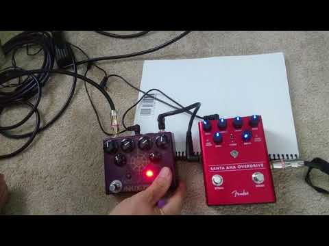 Analogman King of Tone and Fender Santa Ana Overdrive