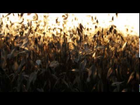 A veces - José Agustín Goytisolo