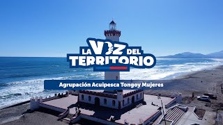 La Voz del Territorio Agrupación de Acuipesca Tongoy Mujeres