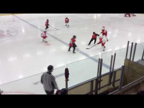 Kronwall Cup U11 2016 - Final, Täby HC team 06-IFK Tumba 8-2 (4-1), 20160918