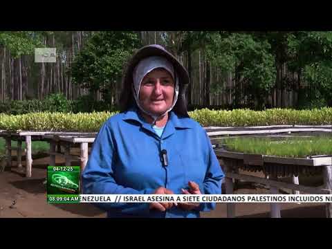 Cuba:Proyecto en Villa Clara busca incrementar la resiliencia climática de la producción agrícola