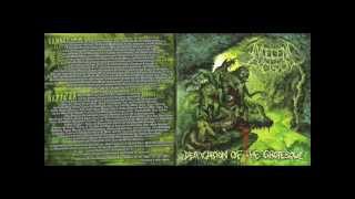 Indecent Excision - Deification Of The Grotesque
