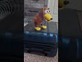 Slinky Buzz My Backs Going To Baton Rouge Toy Story 2 Live Action Toystory2 Slinkydog
