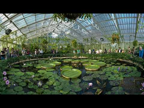 Celebrating Plant Scientists: Joseph Dalton Hooker