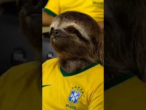 🇧🇷⚽ATENÇÃO, FRIENDS! Hoje é dia de convocação da seleção que vai correr atrás do nosso HEXA 🏆💚💛