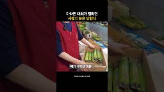 마라톤 대회가 열리면 시장의 문은 닫힌다