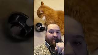 #Shorts Morse Code For Cats....Fred Reacts