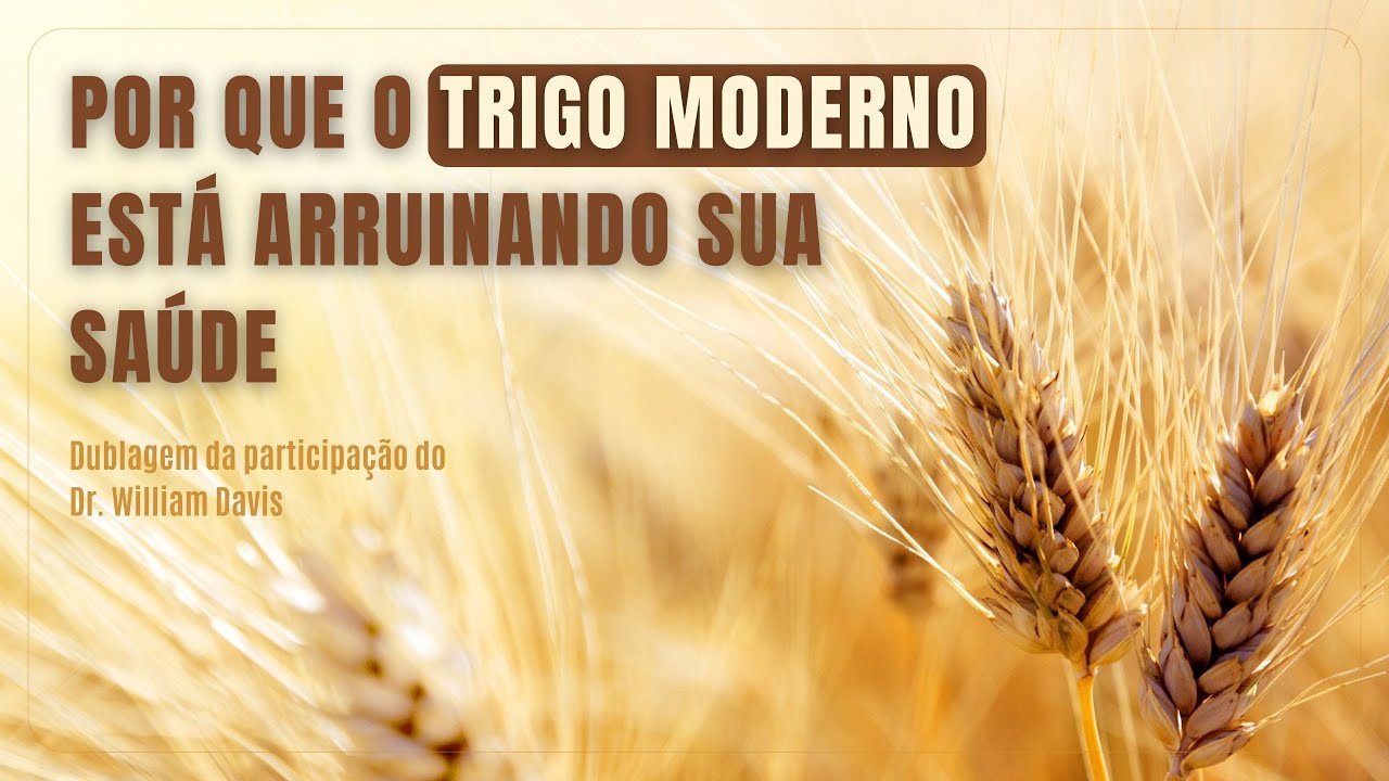 Por que o Trigo Moderno Está Arruinando Sua Saúde │ Dublagem - Dr. William Davis