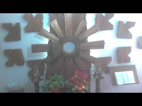 Adoración Eucarística Perpetua en vivo - 11 años