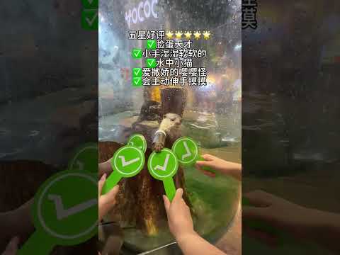 Changsha Zoolung Large Indoor Zoo Changsha Travel Guide Funny SelZoo animal selection is coming