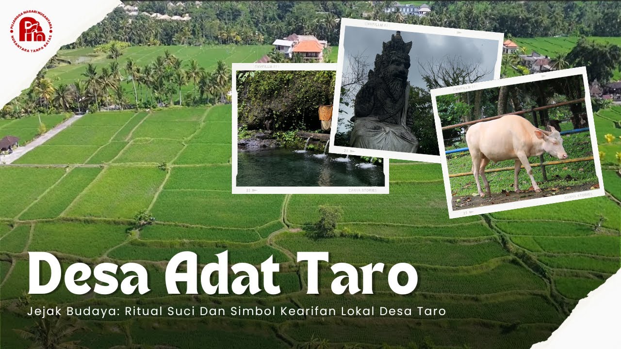 Cultural Traces: Sacred Rituals and Symbols of Local Wisdom in Taro Village