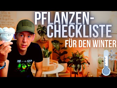 Plants in winter – how to get your houseplants through the winter with lamps and other things!
