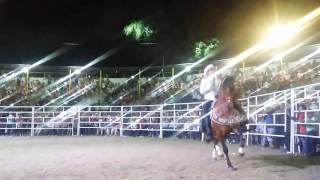 José Manuel Figueroa.  Tuzantla, Michoacán. Pascua 2016
