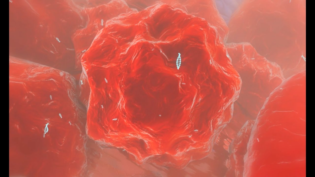 Magic Bullet - Pharmaceutical 3D Animation