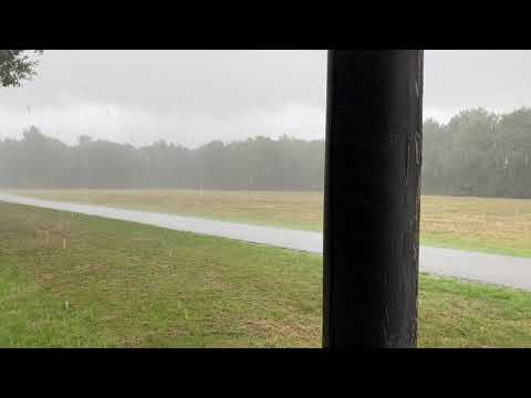 Heavy Rain in The Netherlands (Dutch Weather) 🇳🇱🌧️
